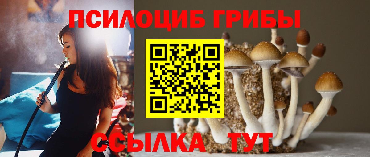 Саров  Галлюциногенные грибы мицелий  Вход с VPN 